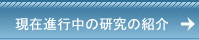 現在進行中の研究の紹介