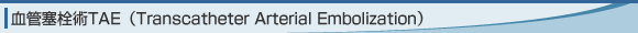 血管塞栓術TAE（Transcatheter Arterial Embolization）