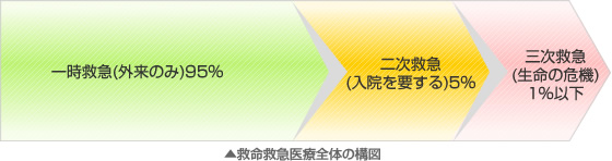 救命救急医療全体の構図