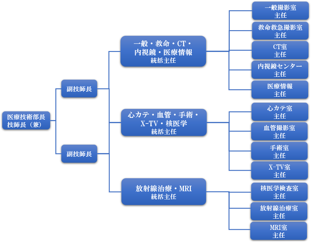 放射線部門の構成